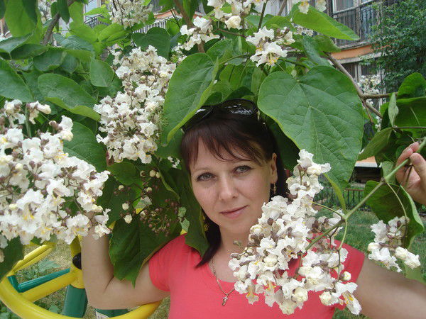 Елена Стародубцева