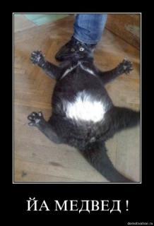 Елена Денисова