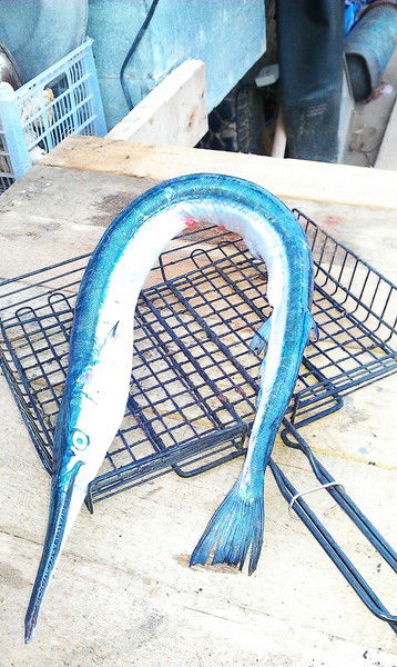 Игорь Жданович