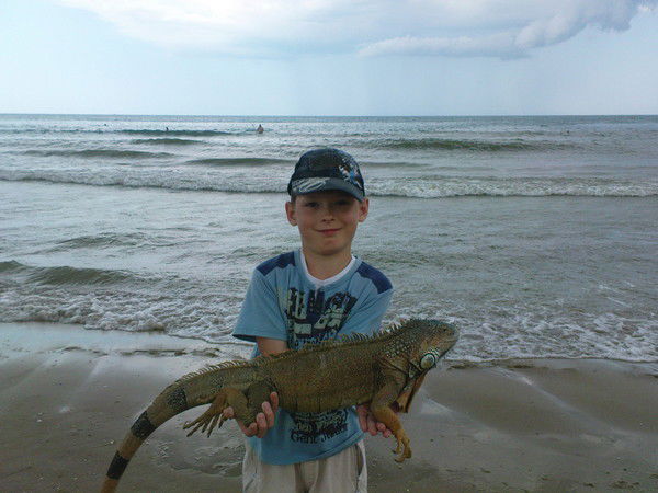 Александр Чемагин