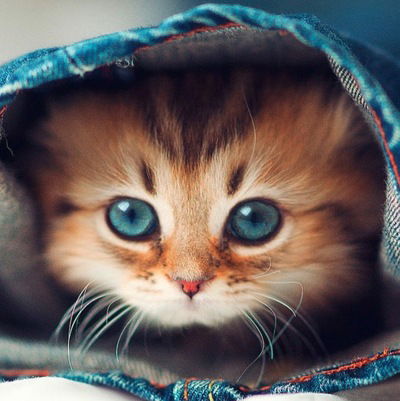 Наташа Грузнова