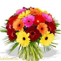 Маргарита Новикова