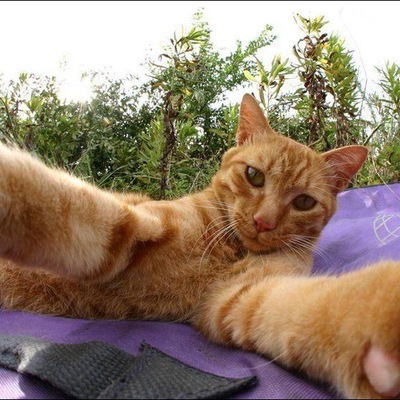 Александр Пепеляев