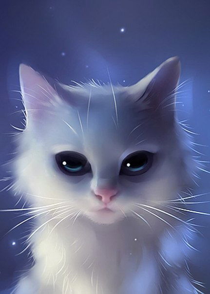 Кристина Кот