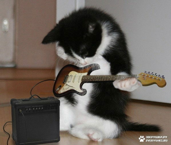 Роман Мелников