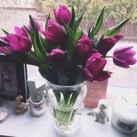 Арман Кансейтова