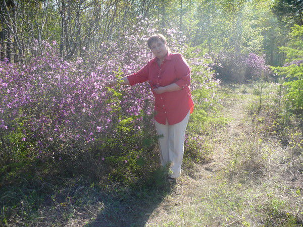 Елена Малышева