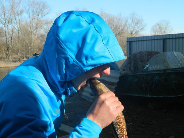 Владик Параноя