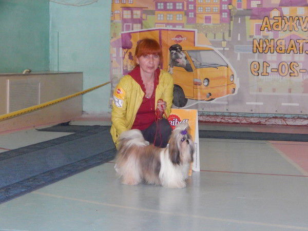 Светлана Шутова