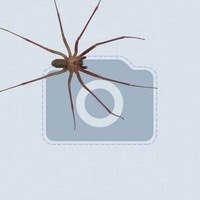 Виталий Богданов