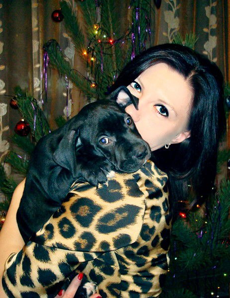 Альбишка Крышко