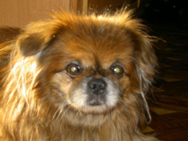 Колесник Валентина