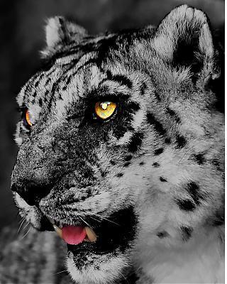 Александр Губаев