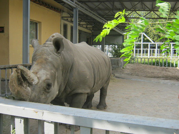 Александр Кучеров