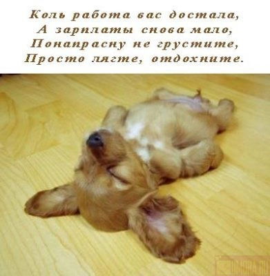 Юрий Здоренко