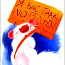 Настя Б