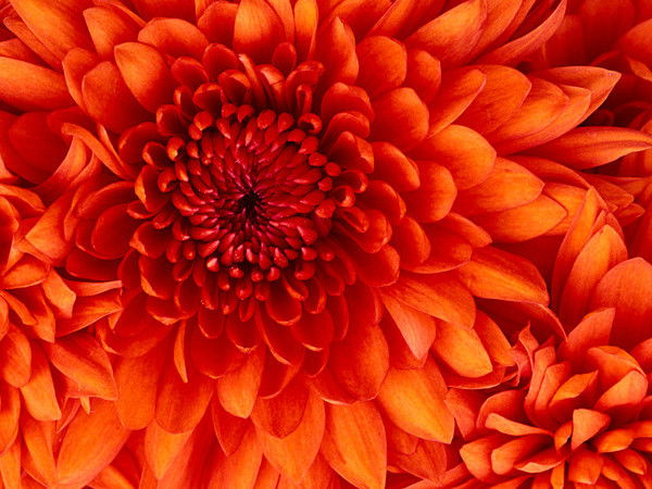 Татьяна Аверкина