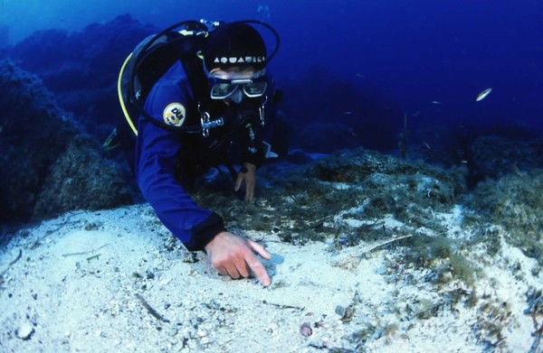 Вечаслав Негруша