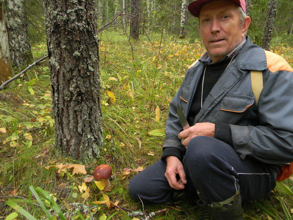 Вячеслав Самойлов