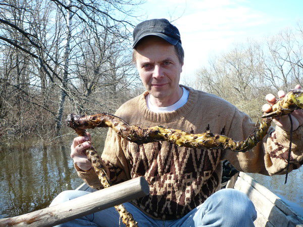 Алексей Гущин