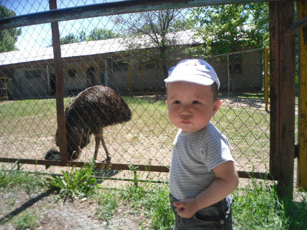 Нуркасым Курманкулов