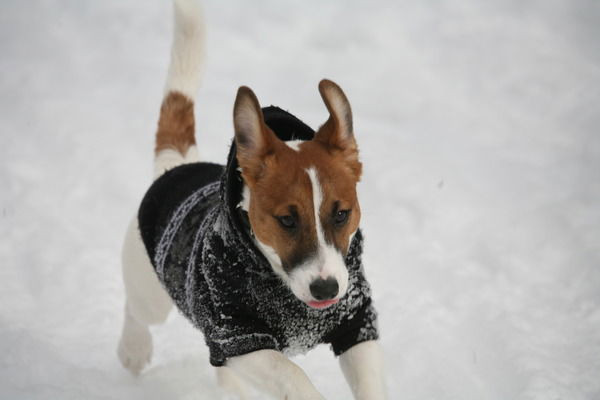 Алеся Борисюк