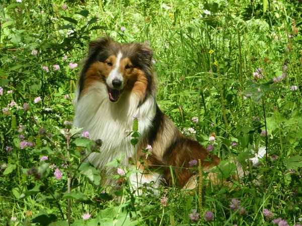 Чумакова Надежда