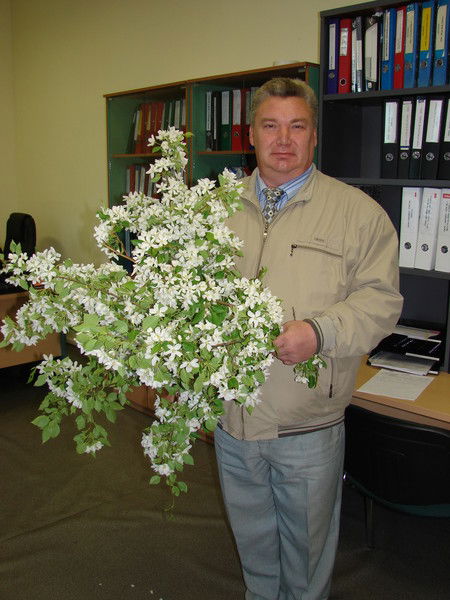 Александр Толкушкин