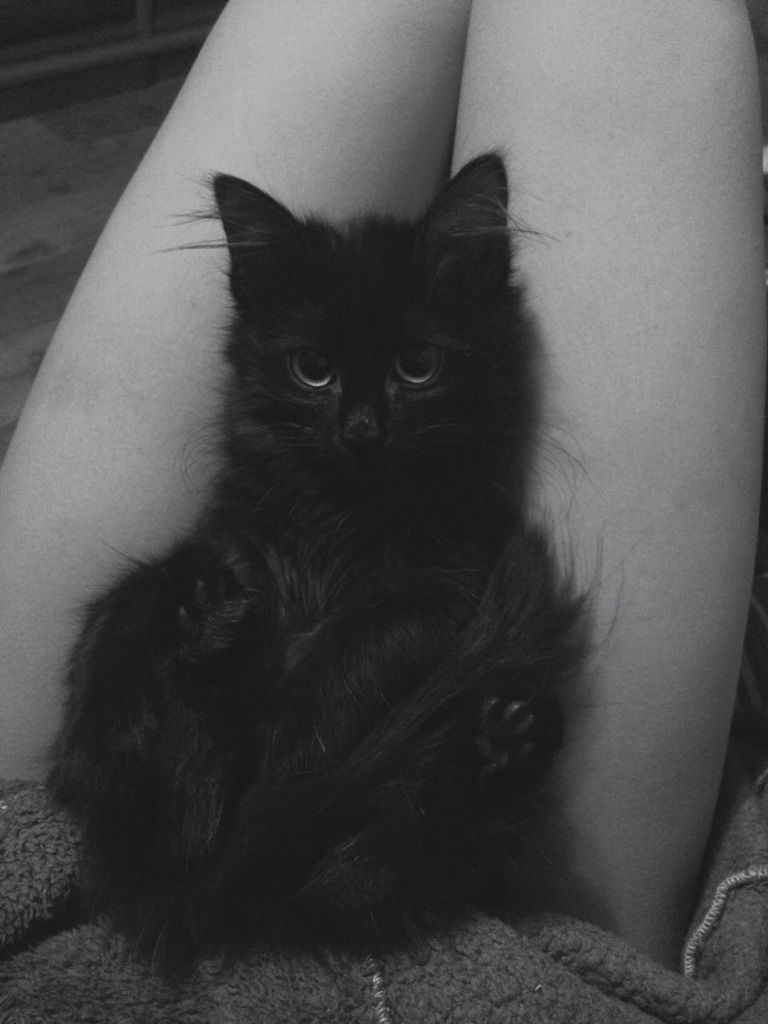 Кристина Луканина