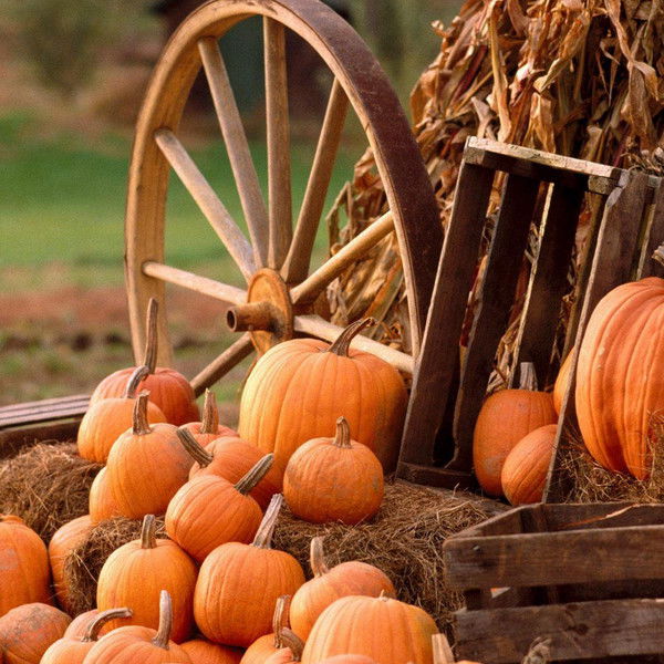 Юлия Иванюк