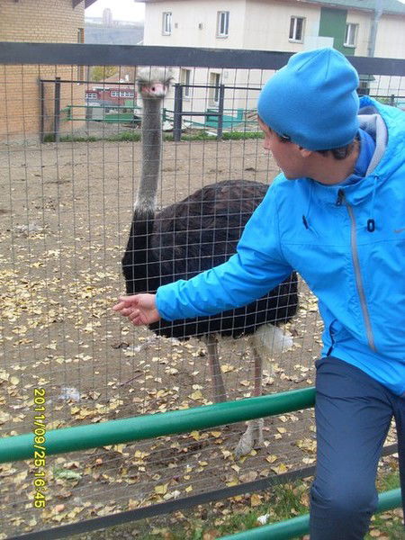 Максим Вебер