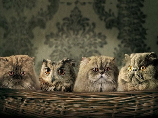 Ирина Филина