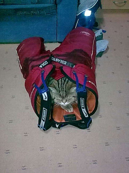 Олег Чернявский