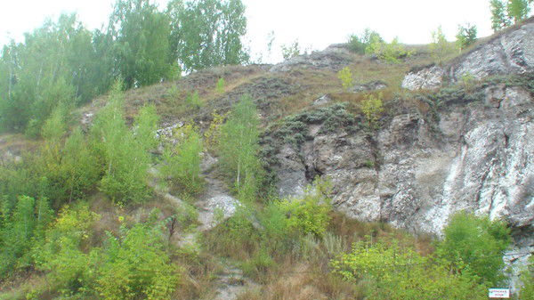 Серега Наумов