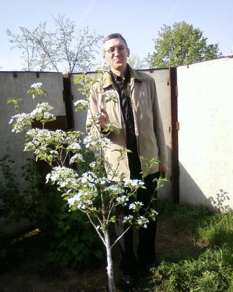 Виктор Токарев