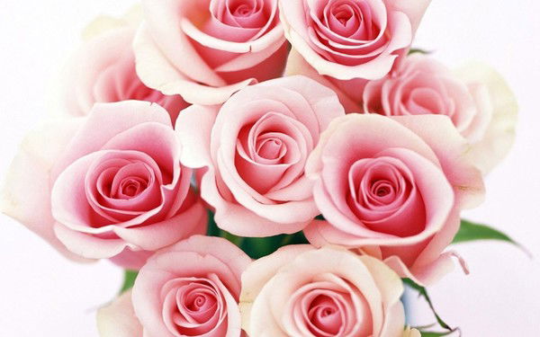 "luydmila" "luydmila"