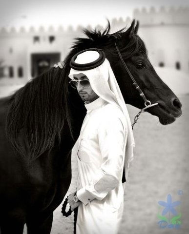 Бахытжан Adilbekov