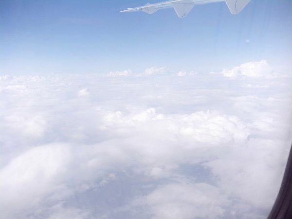 Анна Лисенок