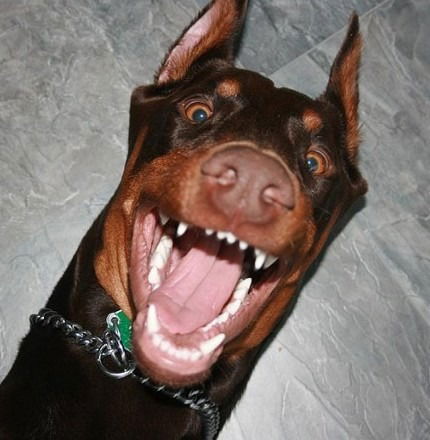 Владислава Кузнецова