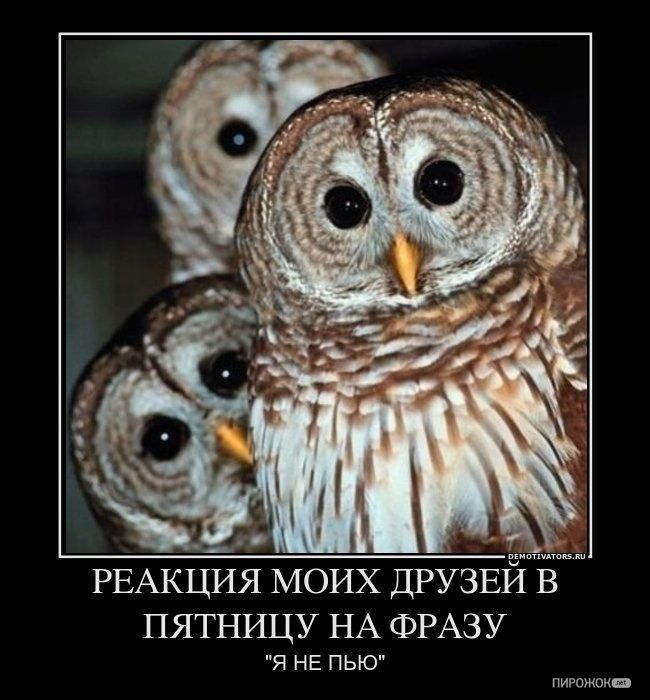 Сергей Сергеев