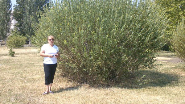 Татьяна Гощенко