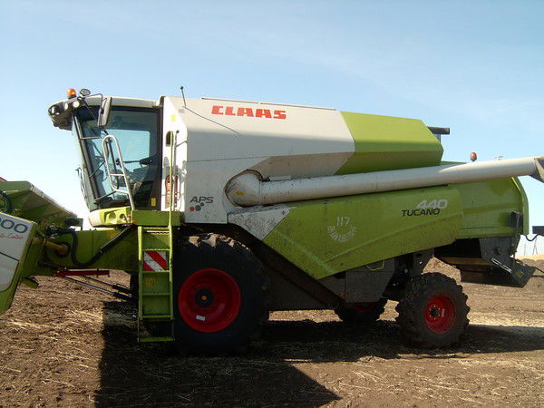 Тоо Мадениет