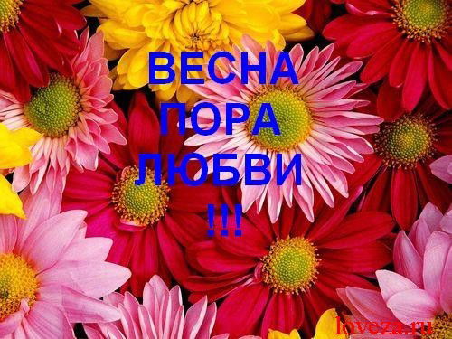 Сулухан Шонтабаева