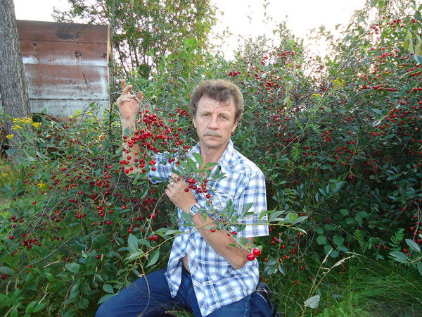 Владимир Артамонов