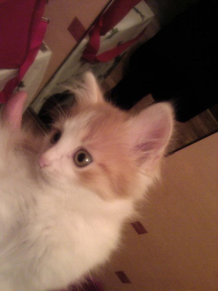 Нина Усачева