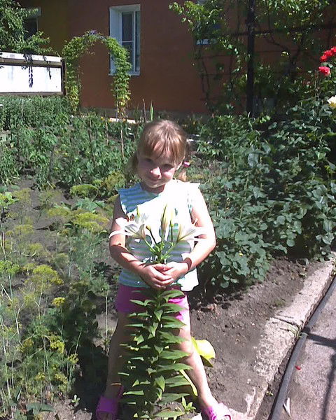 Неизвестно Неизвестно