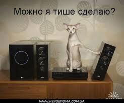 Денис Федотов