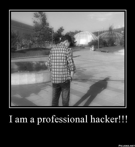 Professional Hacker
