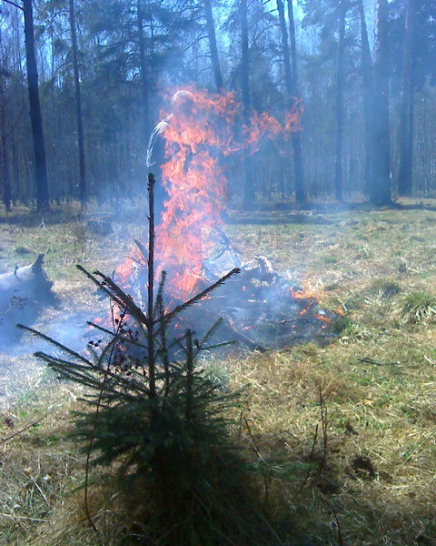 Сергей Андреев