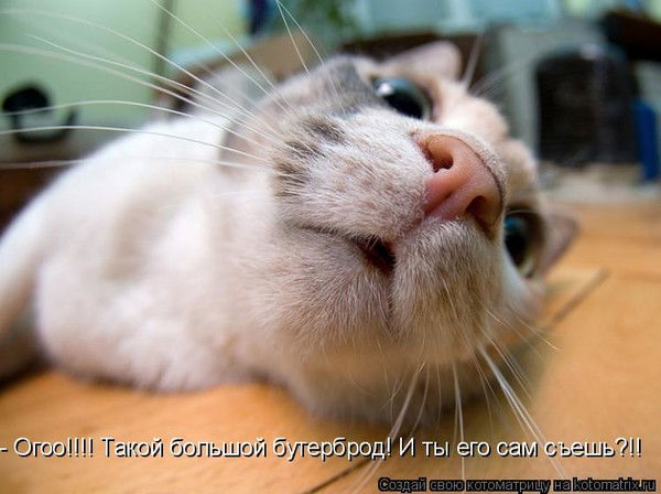 Наталья Шаламова